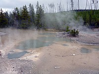Yellowstone Norris Geyser (44).JPG